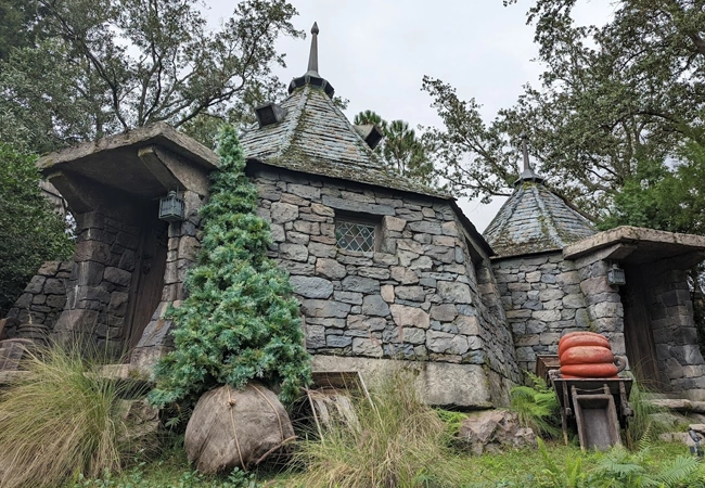 Flight of the Hippogriff