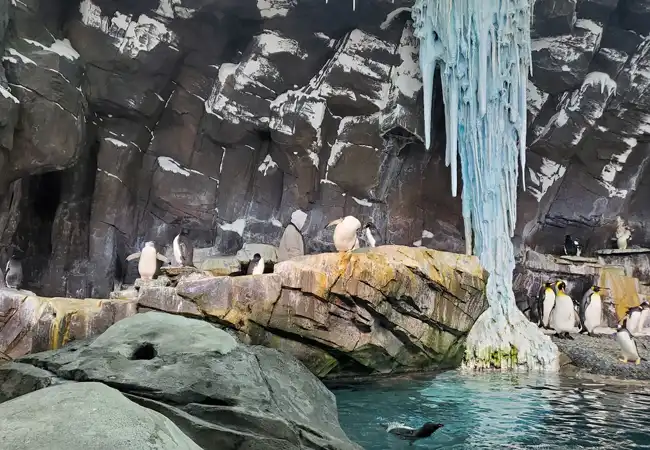 Antarctica: Empire Of The Penguin
