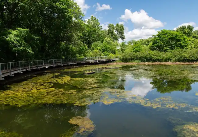 McConnell Springs Park