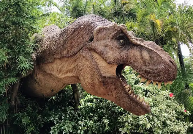 Raptor Encounter