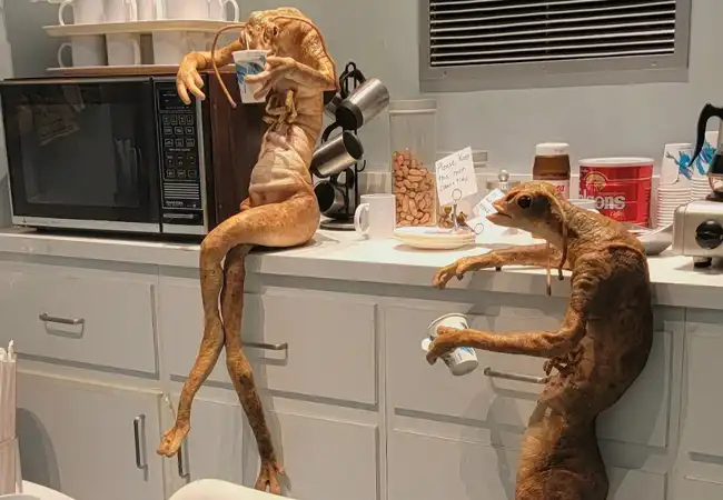 Men In Black Alien Attack