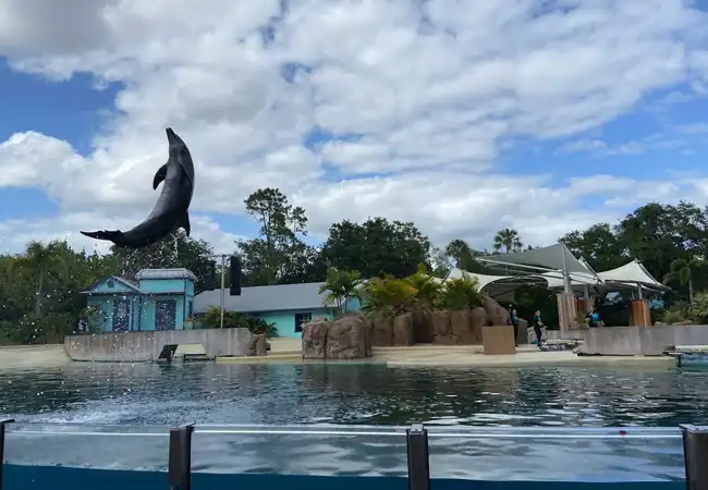 Dolphin Theater