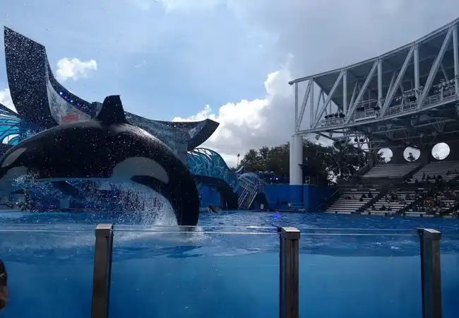 Dolphin Theater