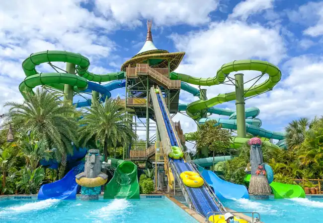 Tonga of Taniwha Tubes
