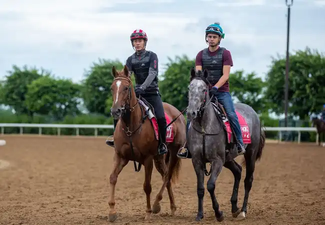 Horse Country