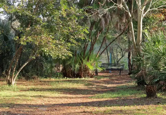 USF Botanical Gardens