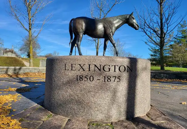 Thoroughbred Park