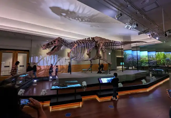 Field Museum