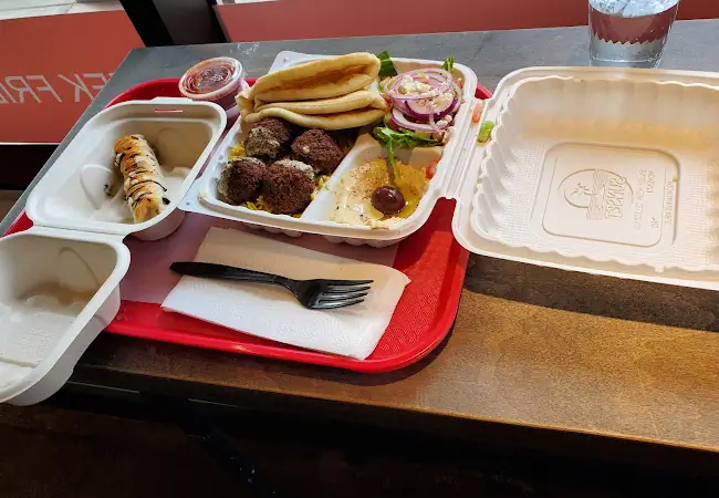 Gyro Saj