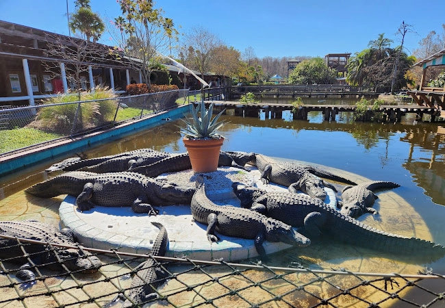 Gatorland