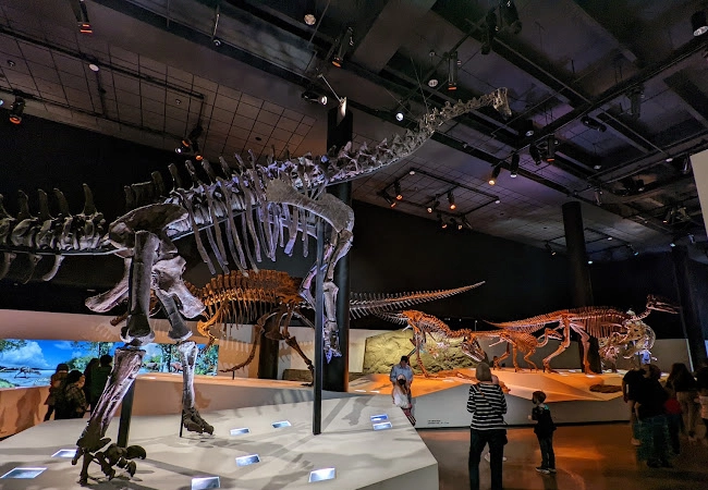 Houston Museum of Natural Science