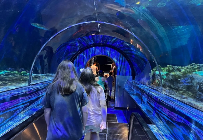 SeaWorld Parks & Entertainment Office