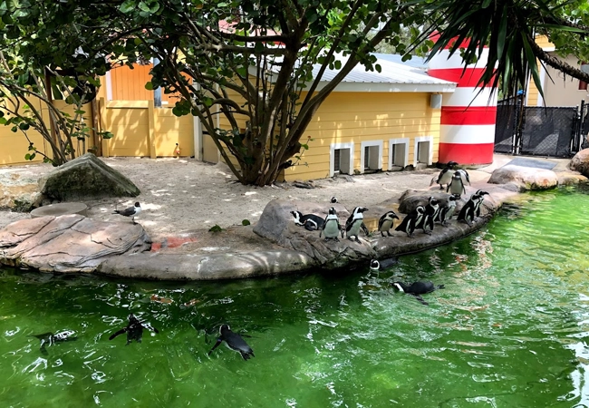 Zoo Tampa