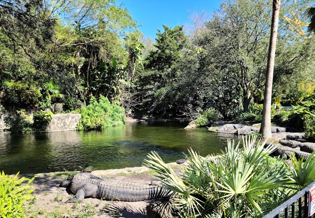 Busch Gardens