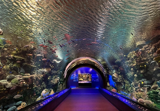 New York Aquarium