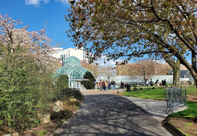 Brooklyn Botanic Garden